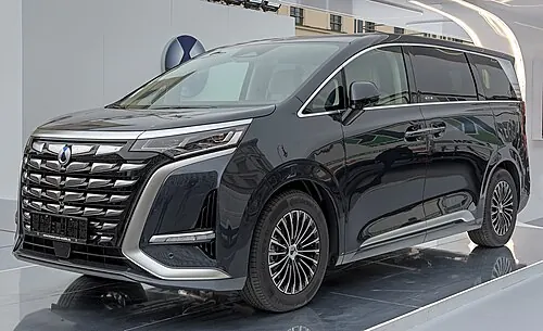 Denza D9